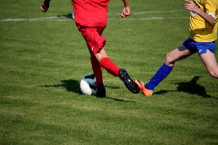 xingkong.com-拳击国家队备战亚运 实施精英训练计划，拳击亚军奖杯照片